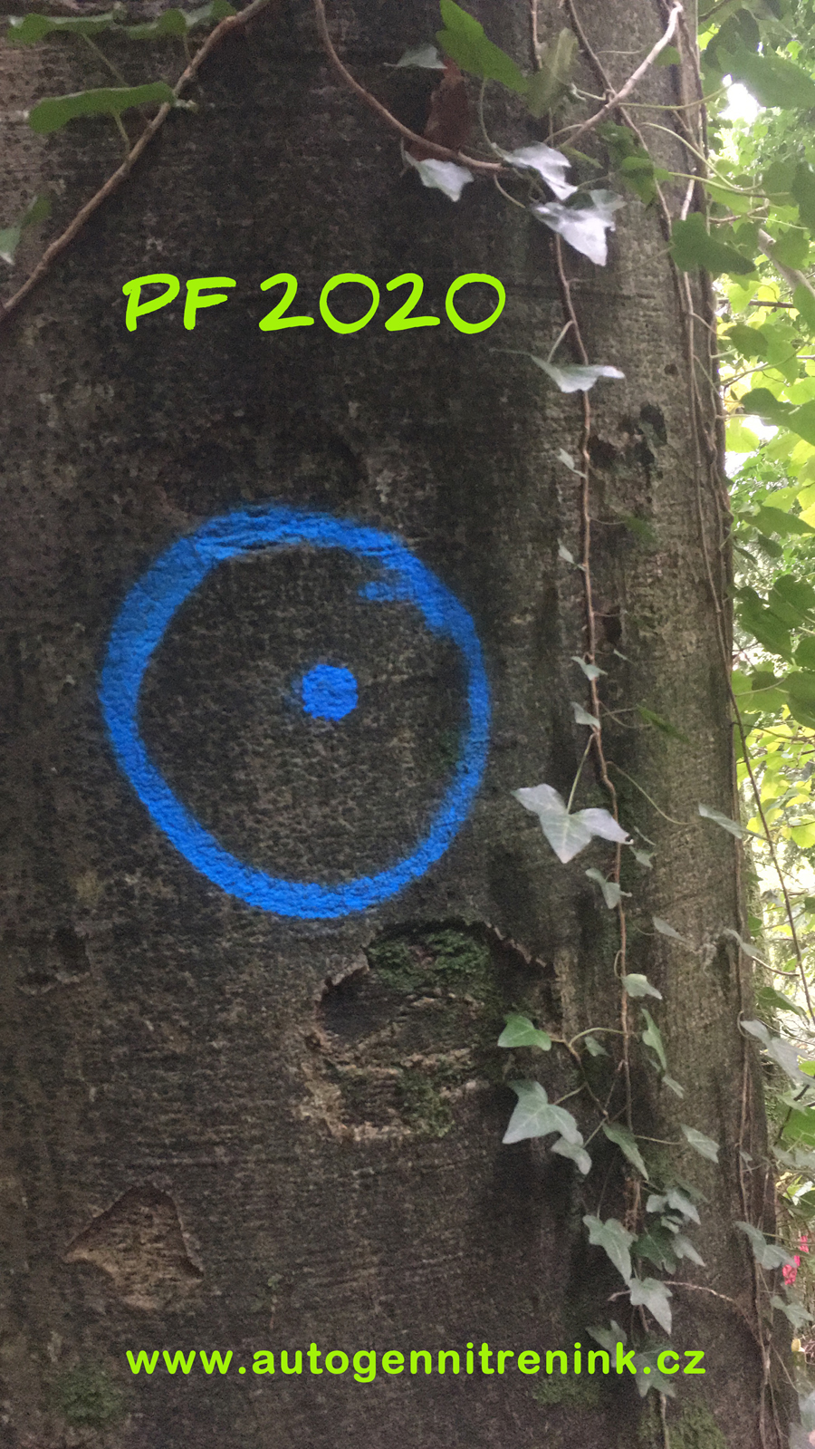 PF 2020